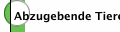 Abzugebende Tiere