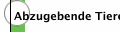Abzugebende Tiere
